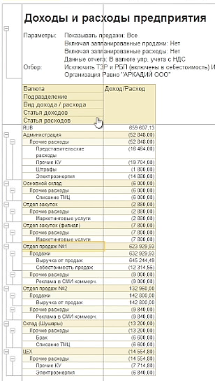 Форма Доходы и расходы предприятия
